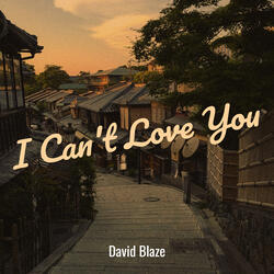 I Can't Love You