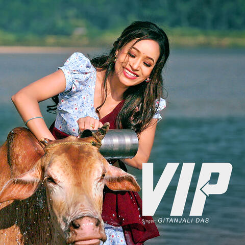Vip