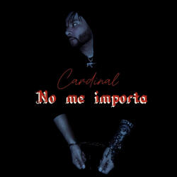 No Me Importa