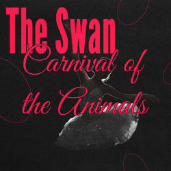 Carnival of the Animals: The Swan