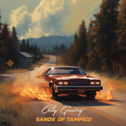 Sands of Tampico