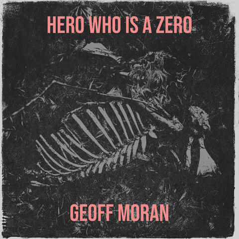 Hero Who Is a Zero