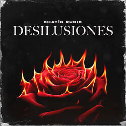 Desilusiones
