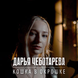 Кошка в окрошке