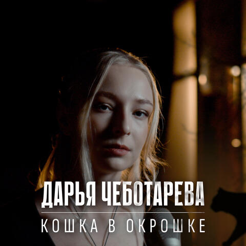 Кошка в окрошке