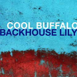 Cool Buffalo
