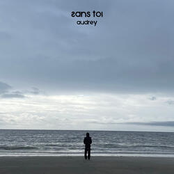 Sans toi
