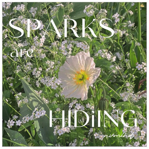 Sparks Are Hiding