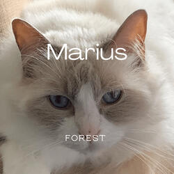 Marius