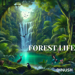 Forest Life