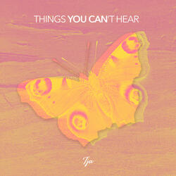 Things You Can't Hear