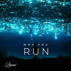 Why You Run