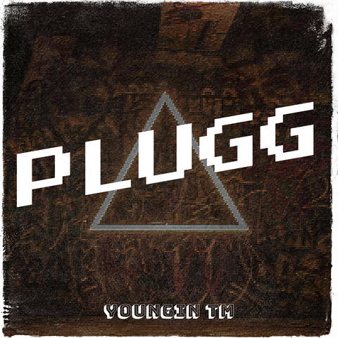 Plugg