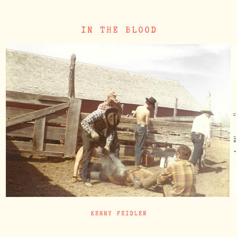In the Blood