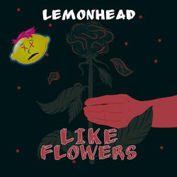 Like Flowers