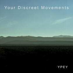Your Discreet Movements