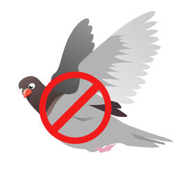 Sound to Scare Pigeons