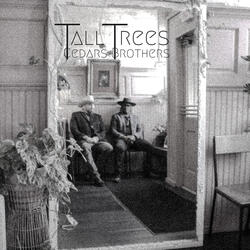 Tall Trees