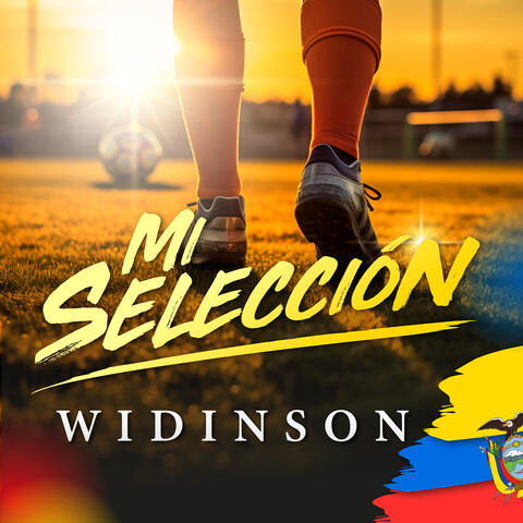 MI Seleccion