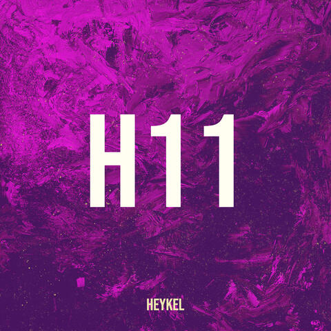 H11