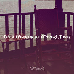 It's a Heartache (Cover) [Live]