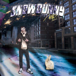 Snowbunny