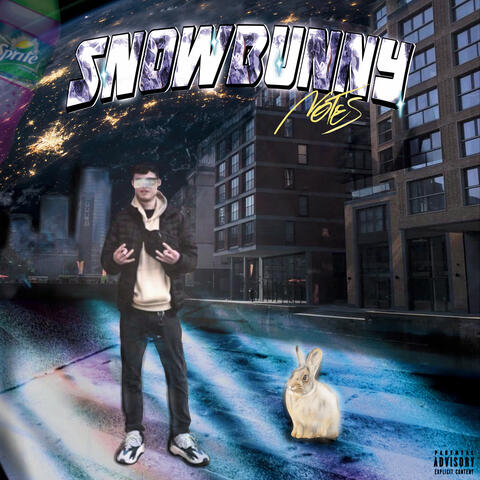 Snowbunny