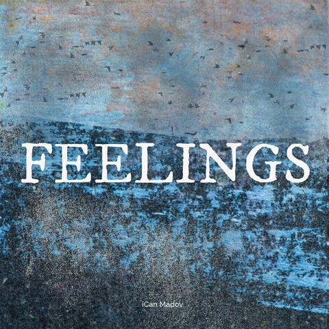 Feelings