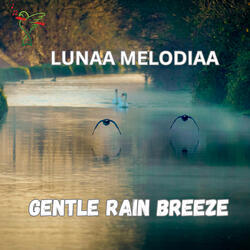 Gentle Rain Breeze