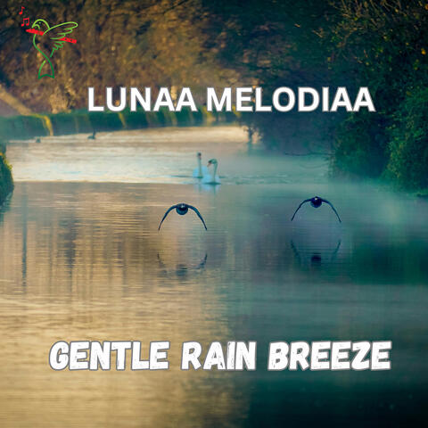 Gentle Rain Breeze