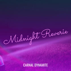 Midnight Reverie