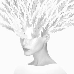 Lose the Forest for the Trees (2024 Remastered)