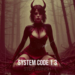 System Code 1 3