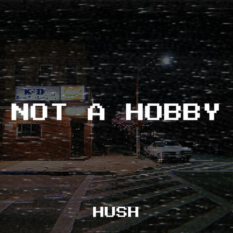 Not a Hobby