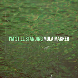 I'm Still Standing