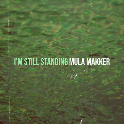 I'm Still Standing