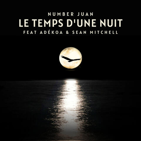 Le temps d'une nuit