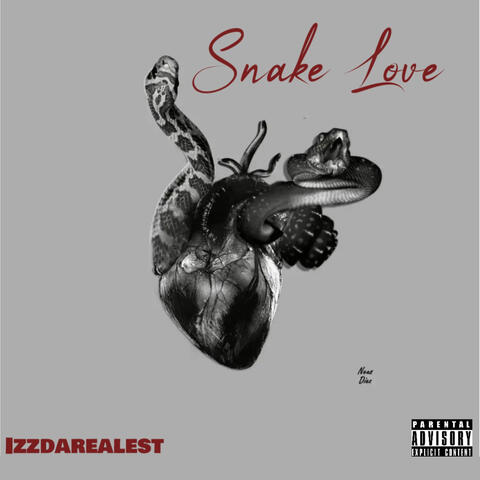 Snake Love