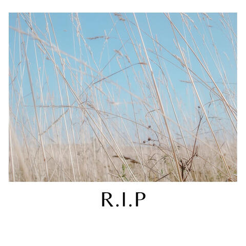 R.I.P