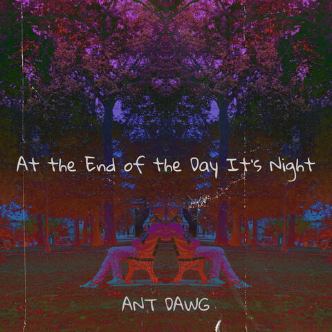 At the End of the Day It's Night