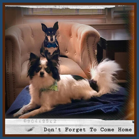 Don't Forget to Come Home