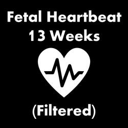 Fetal Heartbeat - 13 Weeks (Filtered)