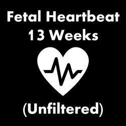 Fetal Heartbeat - 13 Weeks (Unfiltered)