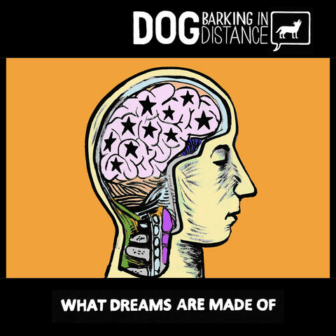 Dog Barking in Distance