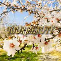 Y0ur Beauty