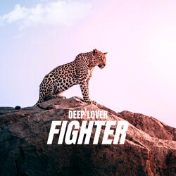 Fighter
