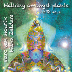 Walking Amongst Plants (432 Hz)