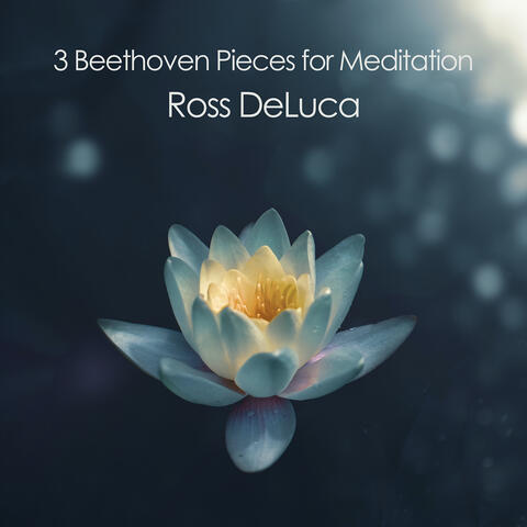 3 Beethoven Pieces for Meditation
