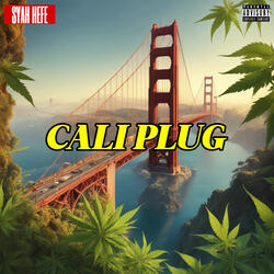 Cali Plug
