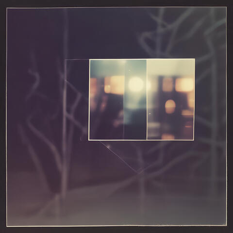 The Fading Light